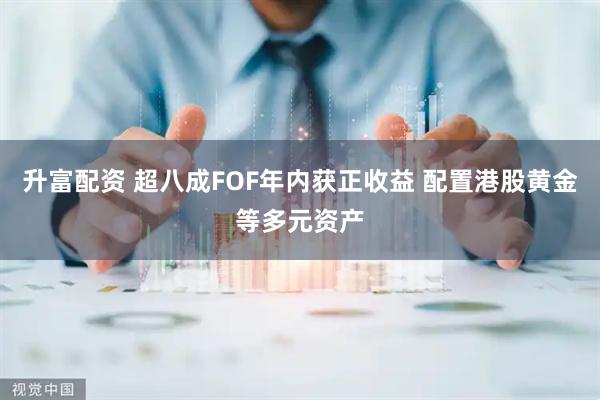 升富配资 超八成FOF年内获正收益 配置港股黄金等多元资产