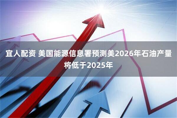 宜人配资 美国能源信息署预测美2026年石油产量将低于2025年