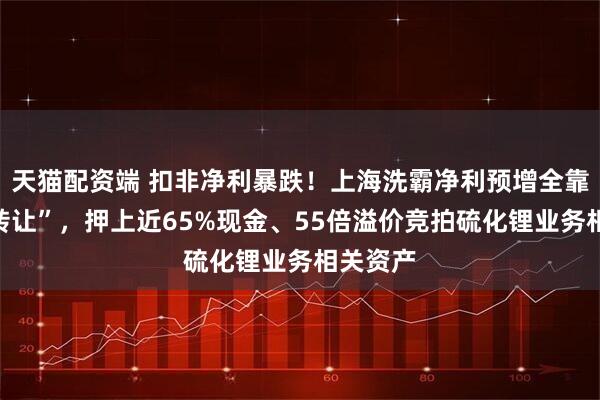 天猫配资端 扣非净利暴跌！上海洗霸净利预增全靠“股权转让”，押上近65%现金、55倍溢价竞拍硫化锂业务相关资产