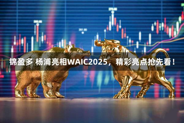 锦盈多 杨浦亮相WAIC2025，精彩亮点抢先看！