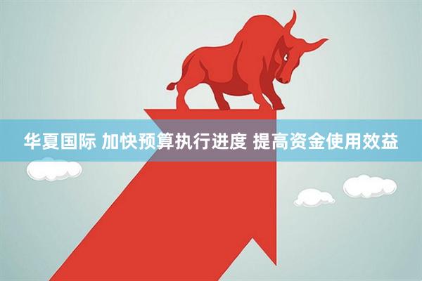 华夏国际 加快预算执行进度 提高资金使用效益