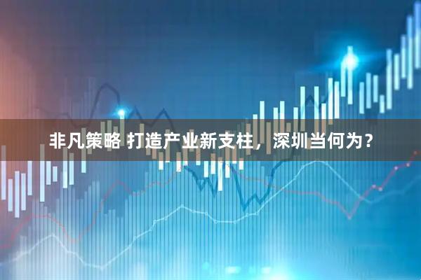 非凡策略 打造产业新支柱，深圳当何为？