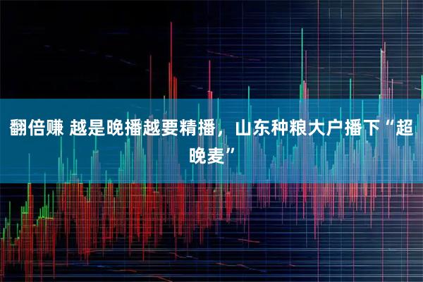 翻倍赚 越是晚播越要精播，山东种粮大户播下“超晚麦”