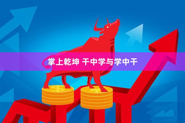 掌上乾坤 干中学与学中干