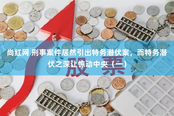 尚红网 刑事案件居然引出特务潜伏案，而特务潜伏之深让惊动中央（一）
