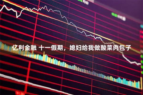 亿利金融 十一假期，媳妇给我做酸菜肉包子