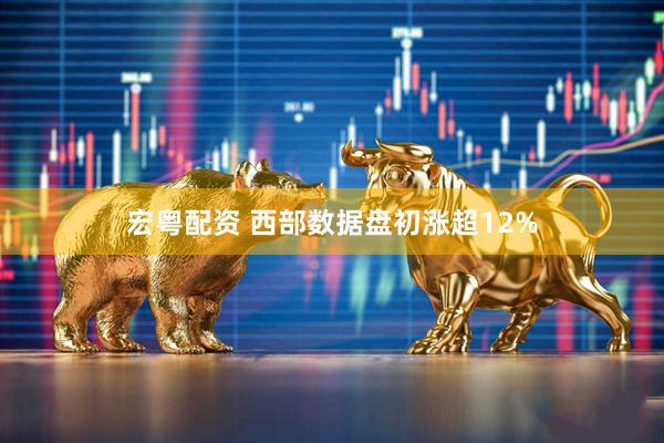 宏粤配资 西部数据盘初涨超12%