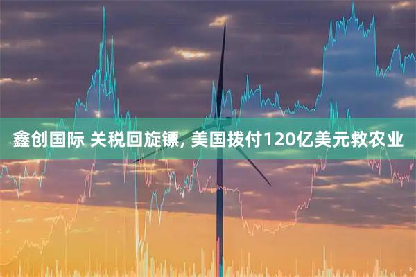 鑫创国际 关税回旋镖, 美国拨付120亿美元救农业