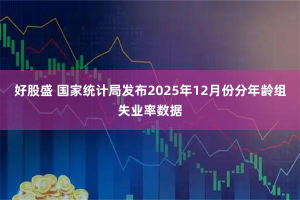 好股盛 国家统计局发布2025年12月份分年龄组失业率数据