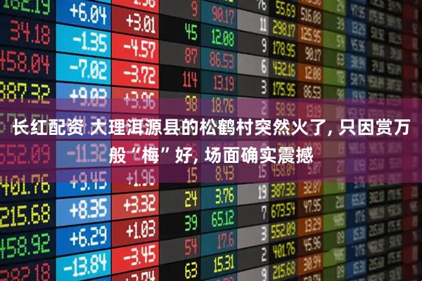 长红配资 大理洱源县的松鹤村突然火了, 只因赏万般“梅”好, 场面确实震撼